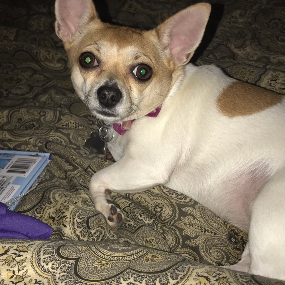 Meet your Posher, Renae